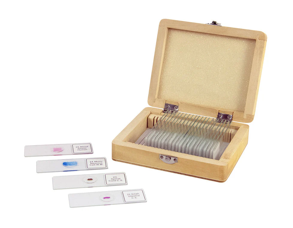 Celestron 25 Piece Prepared Microscope Slide Kit - Image 2