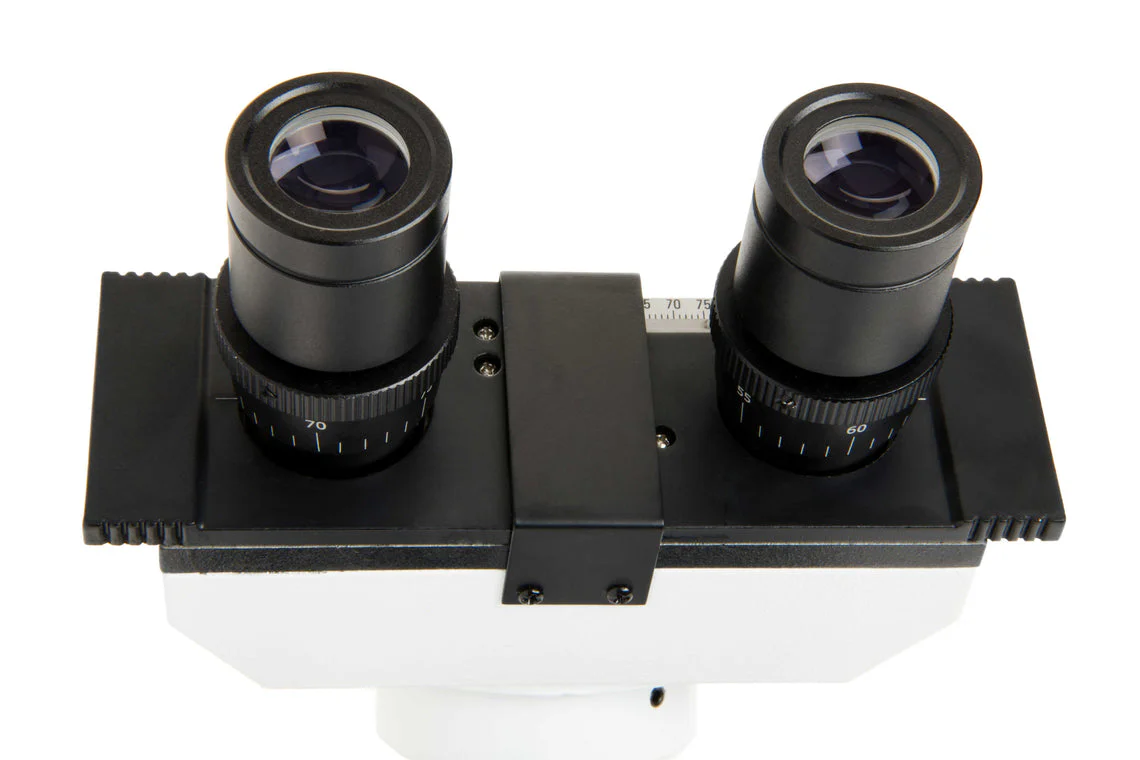 Celestron Labs CB2000CF Compound Microscope 40-2000x - Image 5