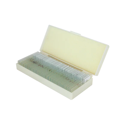 Saxon Plants Biological Micrcoscope Prepared Slides (50pcs) (310006) - Image 3